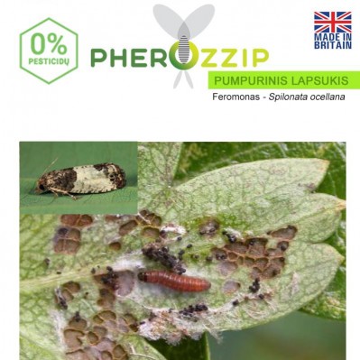 Feromonas Pumpuriniui lapsukiui (Spilonata ocellana) Pherozzip, 1 vnt